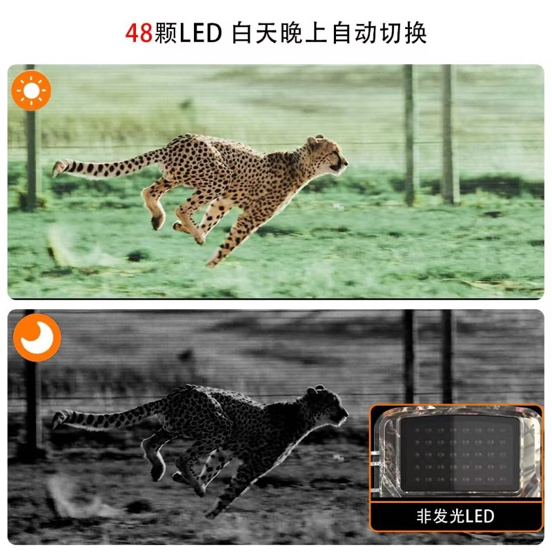 OFERTA ESPECIAL DL001 Cámara d - Home Cinema Hd reseña y precio